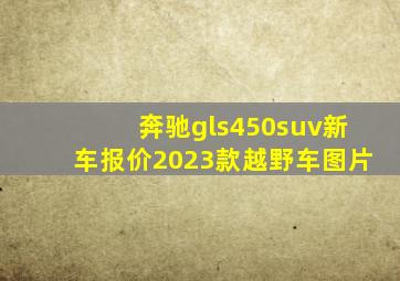 奔驰gls450suv新车报价2023款越野车图片