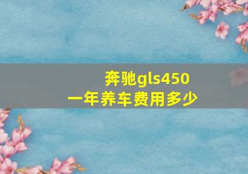 奔驰gls450一年养车费用多少