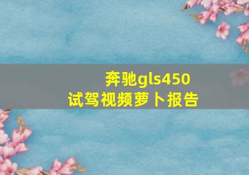 奔驰gls450试驾视频萝卜报告