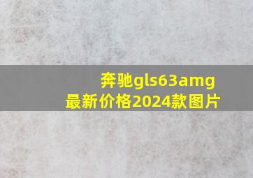 奔驰gls63amg最新价格2024款图片