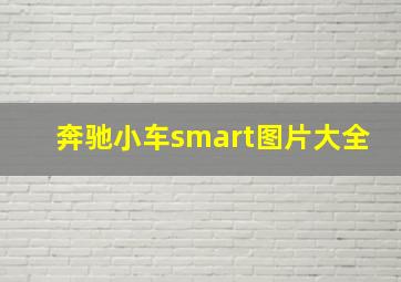 奔驰小车smart图片大全