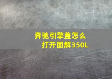 奔驰引擎盖怎么打开图解350L