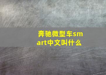 奔驰微型车smart中文叫什么