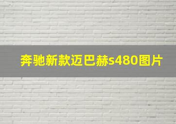 奔驰新款迈巴赫s480图片