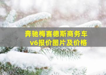 奔驰梅赛德斯商务车v6报价图片及价格