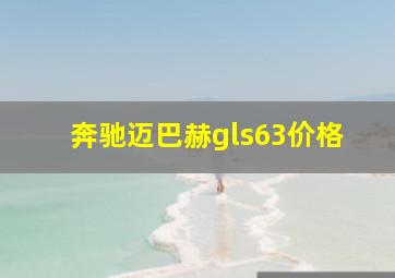 奔驰迈巴赫gls63价格