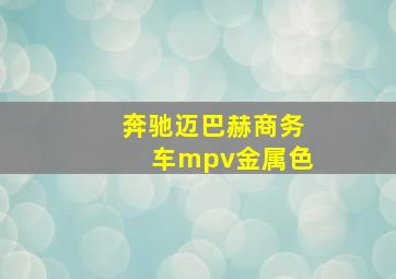 奔驰迈巴赫商务车mpv金属色