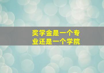 奖学金是一个专业还是一个学院