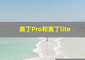 奥丁Pro和奥丁lite