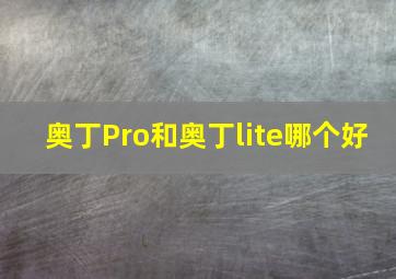 奥丁Pro和奥丁lite哪个好