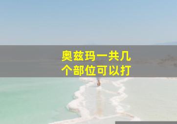 奥兹玛一共几个部位可以打