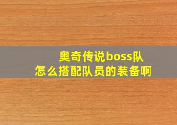 奥奇传说boss队怎么搭配队员的装备啊