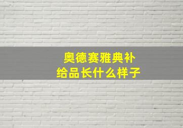 奥德赛雅典补给品长什么样子