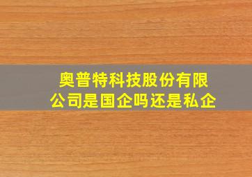 奥普特科技股份有限公司是国企吗还是私企