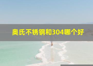 奥氏不锈钢和304哪个好