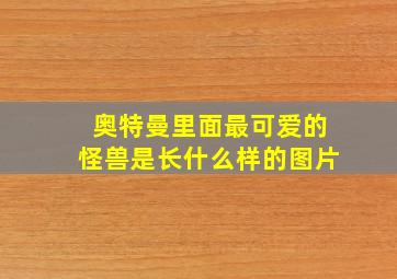 奥特曼里面最可爱的怪兽是长什么样的图片