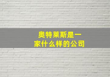 奥特莱斯是一家什么样的公司