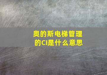 奥的斯电梯管理的CI是什么意思