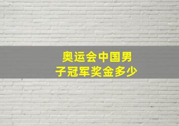 奥运会中国男子冠军奖金多少