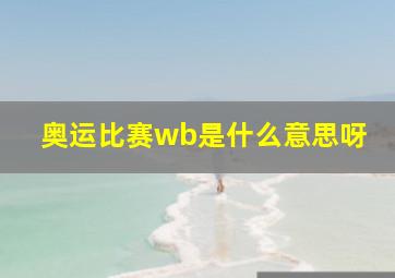 奥运比赛wb是什么意思呀