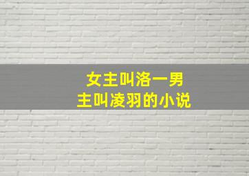 女主叫洛一男主叫凌羽的小说