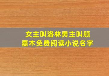 女主叫洛林男主叫顾嘉木免费阅读小说名字