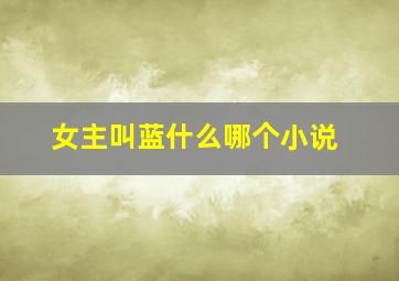 女主叫蓝什么哪个小说