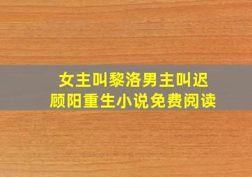 女主叫黎洛男主叫迟顾阳重生小说免费阅读