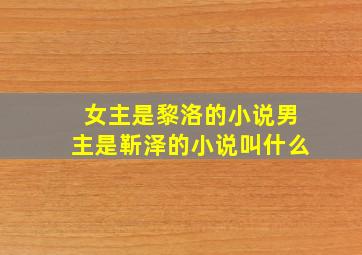 女主是黎洛的小说男主是靳泽的小说叫什么