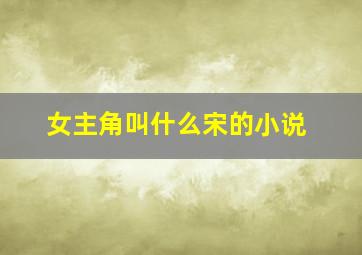 女主角叫什么宋的小说