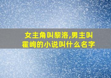 女主角叫黎洛,男主叫霍峋的小说叫什么名字