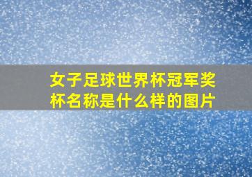 女子足球世界杯冠军奖杯名称是什么样的图片