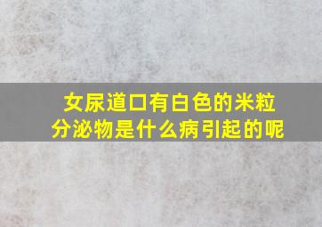 女尿道口有白色的米粒分泌物是什么病引起的呢