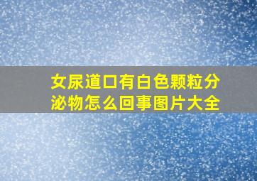 女尿道口有白色颗粒分泌物怎么回事图片大全