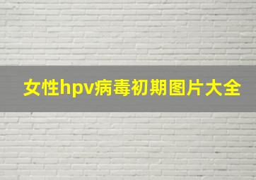 女性hpv病毒初期图片大全