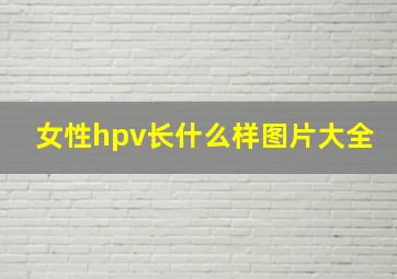 女性hpv长什么样图片大全