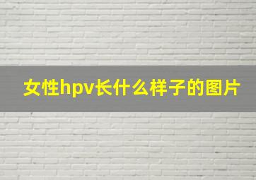 女性hpv长什么样子的图片