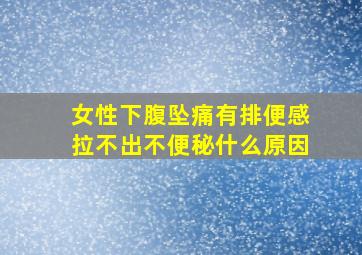 女性下腹坠痛有排便感拉不出不便秘什么原因