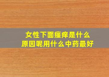 女性下面瘙痒是什么原因呢用什么中药最好