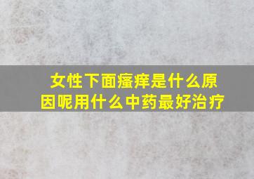 女性下面瘙痒是什么原因呢用什么中药最好治疗