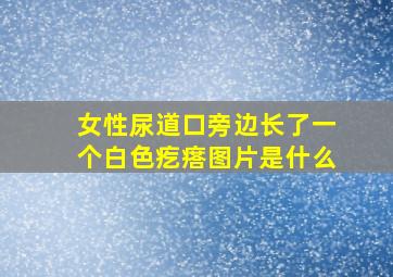 女性尿道口旁边长了一个白色疙瘩图片是什么