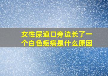 女性尿道口旁边长了一个白色疙瘩是什么原因