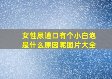 女性尿道口有个小白泡是什么原因呢图片大全