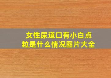 女性尿道口有小白点粒是什么情况图片大全