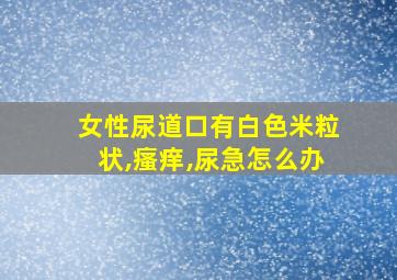 女性尿道口有白色米粒状,瘙痒,尿急怎么办