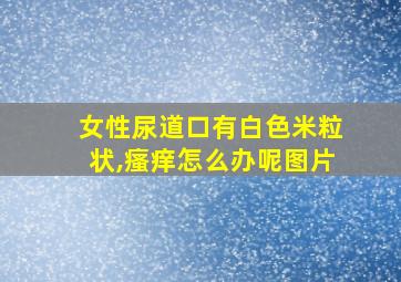 女性尿道口有白色米粒状,瘙痒怎么办呢图片