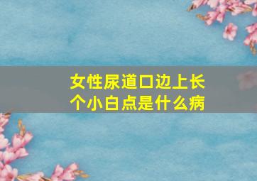 女性尿道口边上长个小白点是什么病