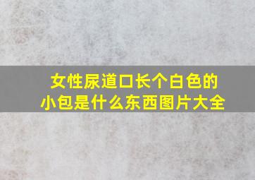 女性尿道口长个白色的小包是什么东西图片大全