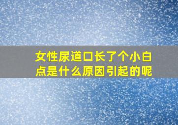 女性尿道口长了个小白点是什么原因引起的呢