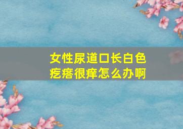 女性尿道口长白色疙瘩很痒怎么办啊